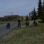 DayZ ok i surrender