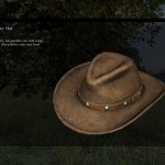 DayZ Standalone Cowboy Hat