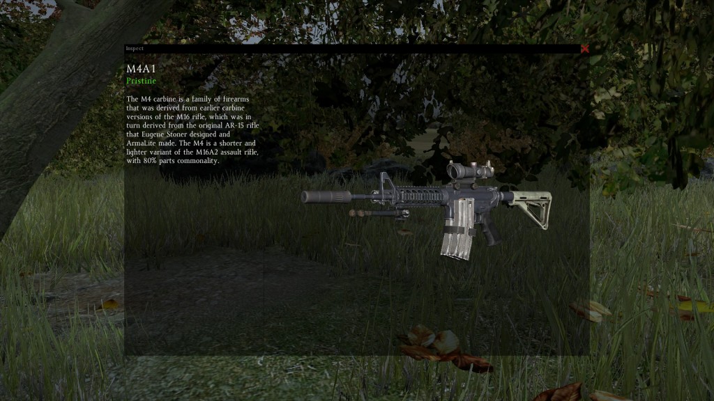 DayZ Standalone M4