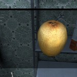 DayZ Standalone Kiwi