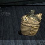 DayZ Standalone Canteen