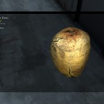 DayZ Standalone Rotten Kiwi