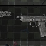 DayZ Standalone FNX