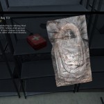 DayZ Standalone Blood Bag Kit