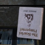 DayZ Standalone Book The Scarlet Pimpernel