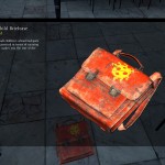 Dayz Standalone Red Child Briefcase