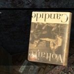 DayZ Standalone Book Candide