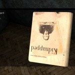 DayZ Standalone Book Kidnapped