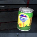 DayZ Standalone Canned Peaches