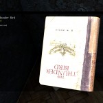 DayZ Standalone Book The Thunder Bird