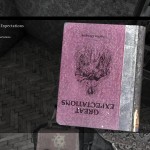 DayZ Standalone Book Great Expectations