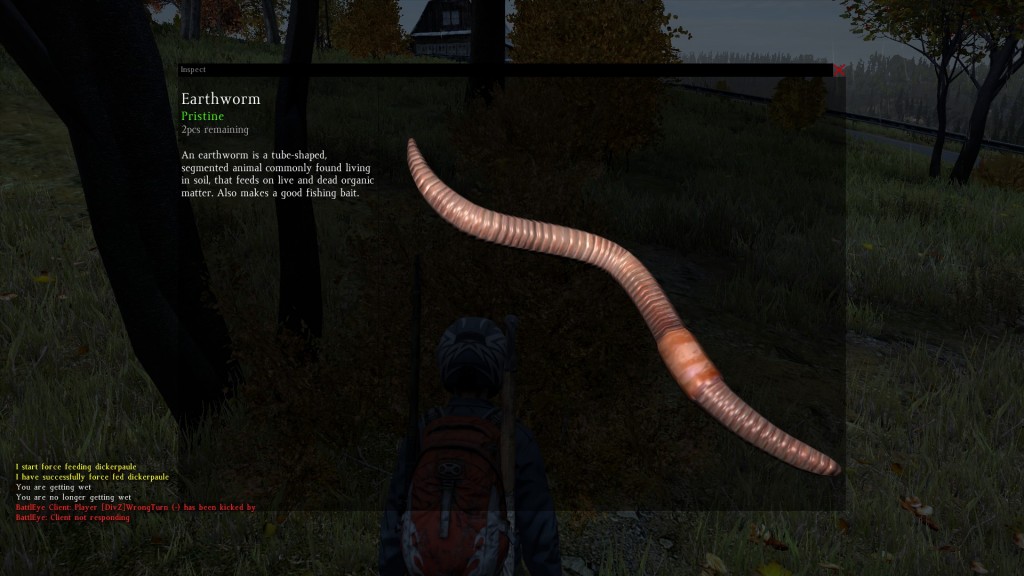 DayZ Standalone Earthworm