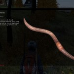 DayZ Standalone Earthworm