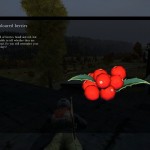 DayZ Standalone Red-coloured berries