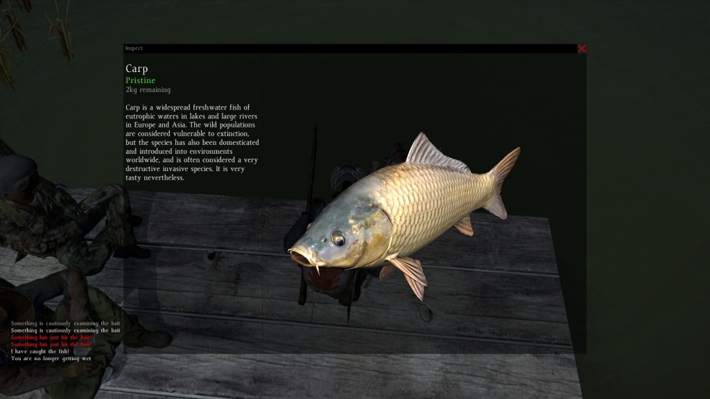 DayZ Standalone Carp