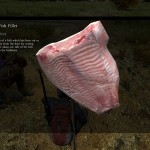 DayZ Standalone Raw Fish Fillet