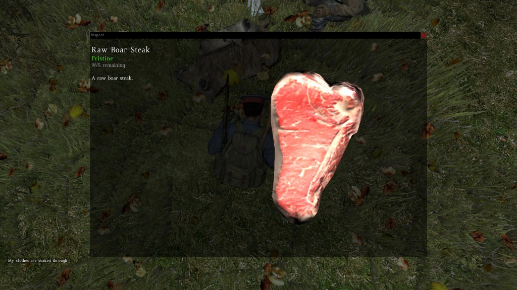 DayZ Standalone - Raw Boar Steak